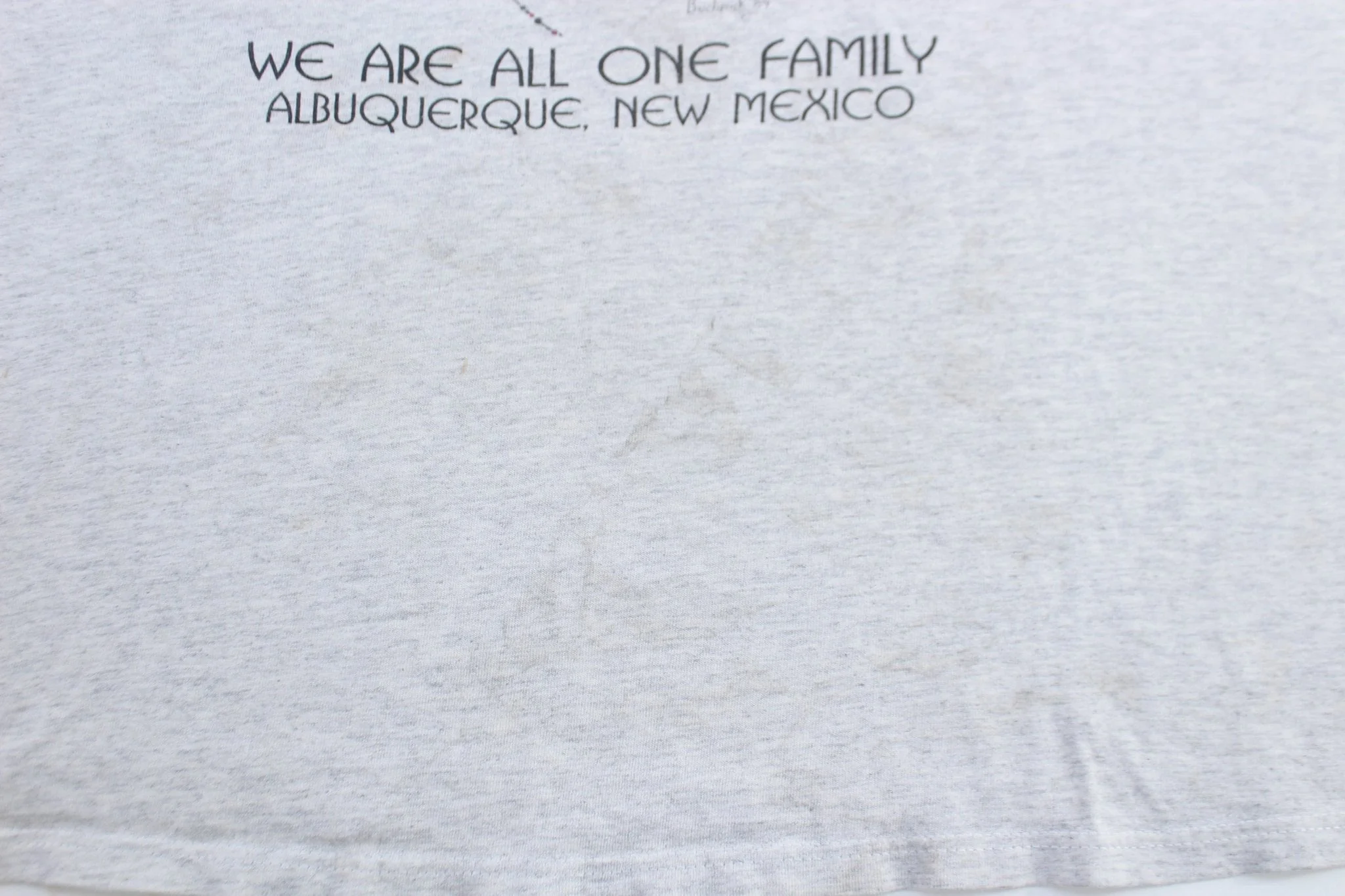 1989 Albuquerque, New Mexico Family T-Shirt - Image 4