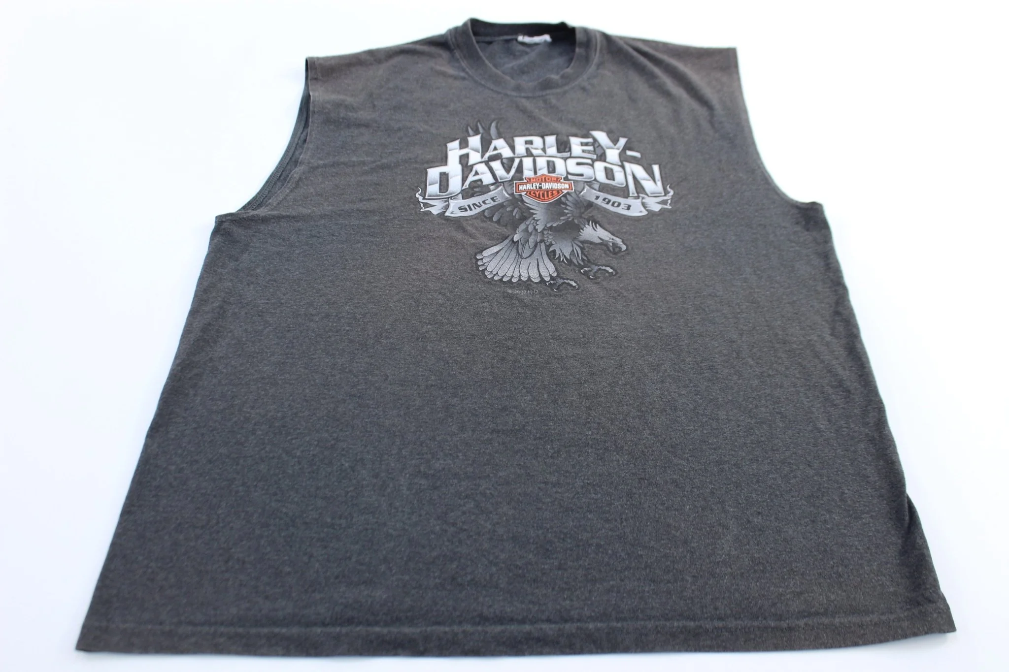 Harley Davidson Motorcycles Franklin, Tennessee Tank Top
