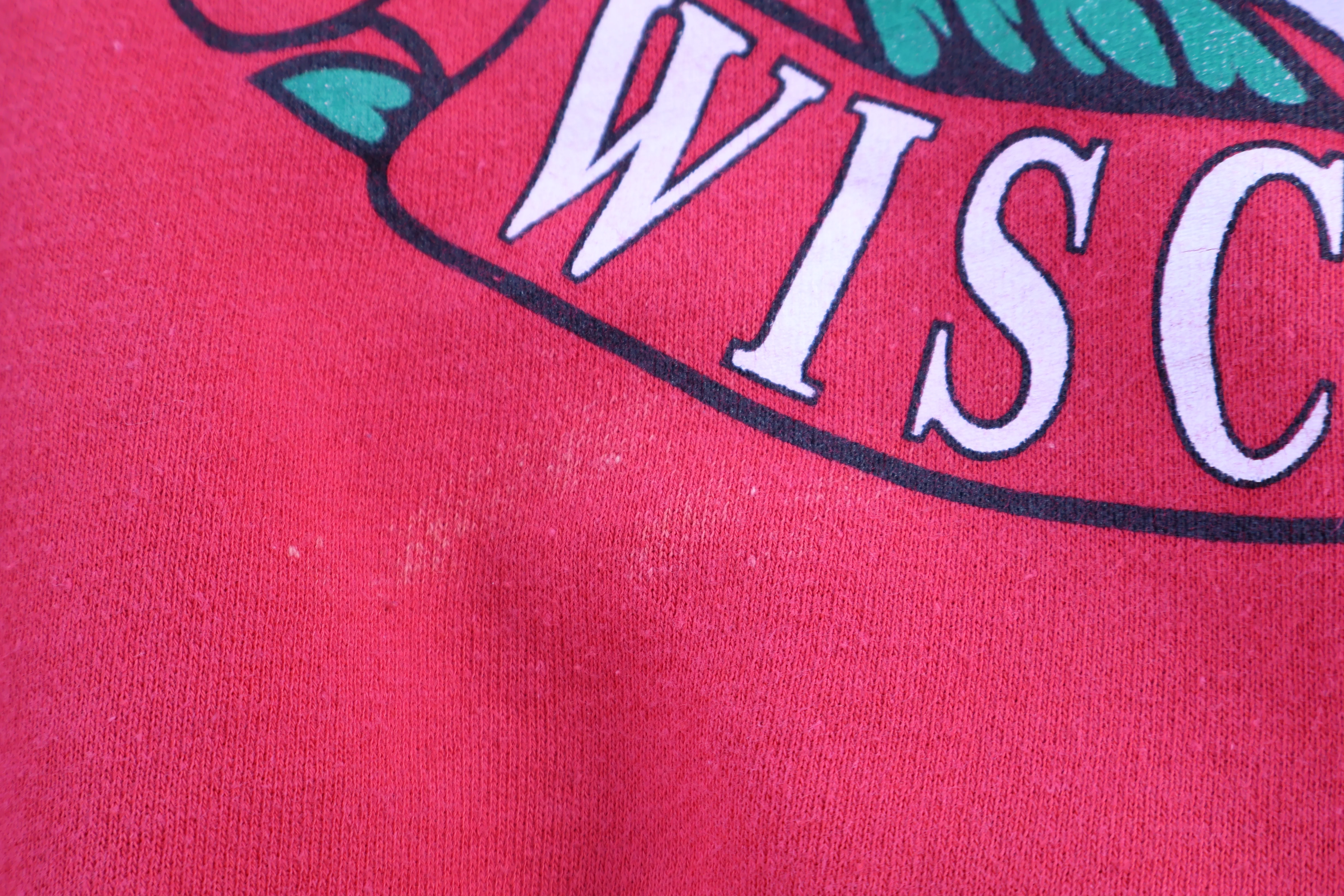 90's University of Wisconsin Sweatshirt - Image 3