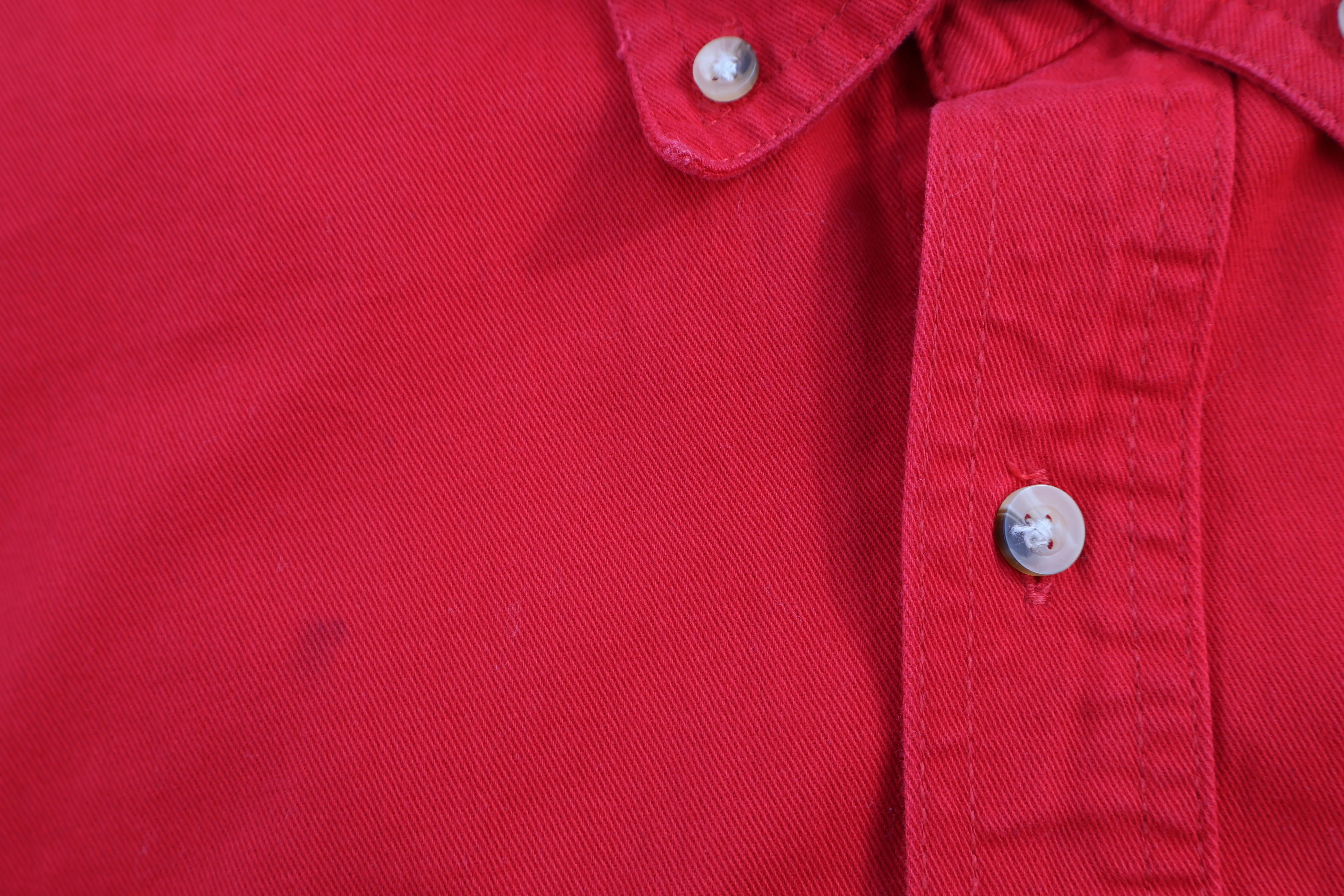 Chase Authentics Dale Earnhardt JR Racing Button Down - Image 3