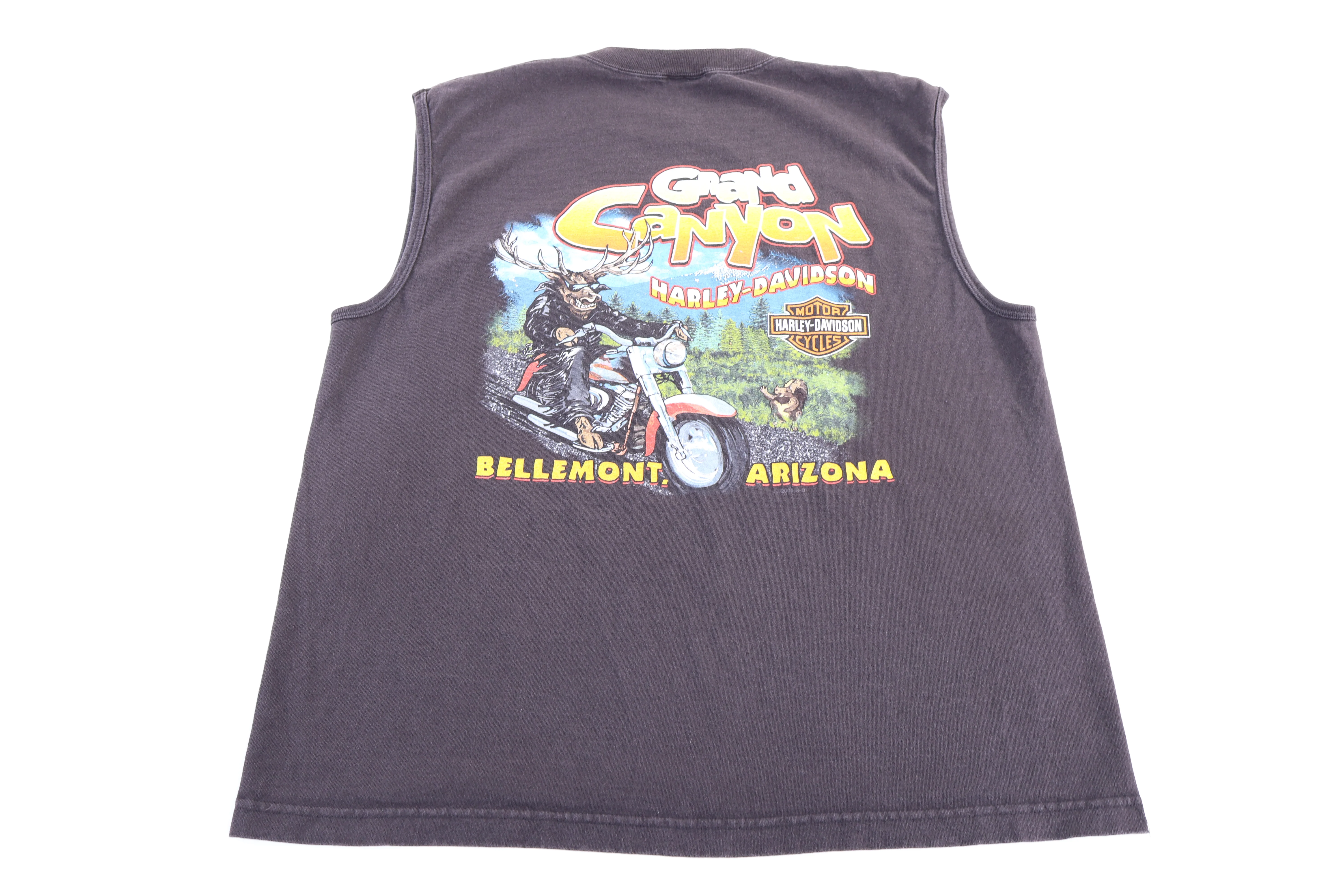 Harley Davidson Motorcycles Arizona Tank Top